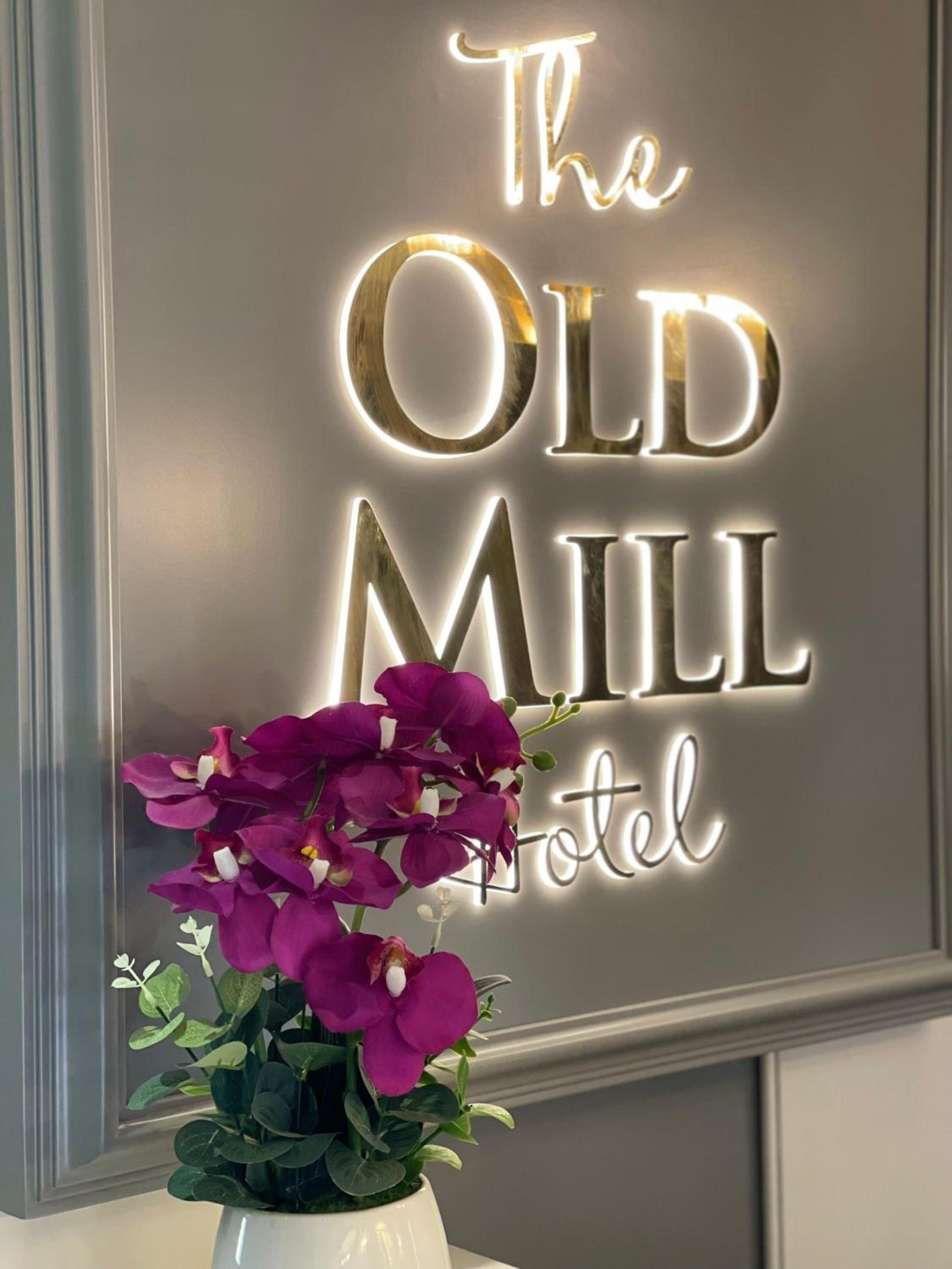 Old Mill Hotel & Lodge — photo 7